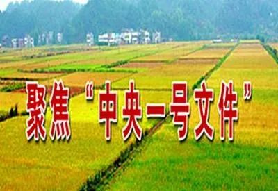 农业科技，推动农业生产力革命的关键力量