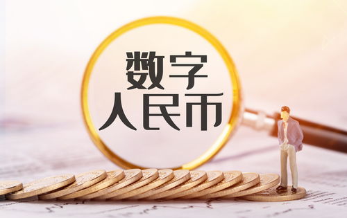 播放科技生活，探索数字时代的日常生活