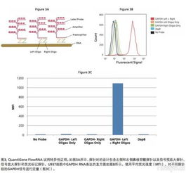 科技促进发展，关键影响因子的深入分析  第1张